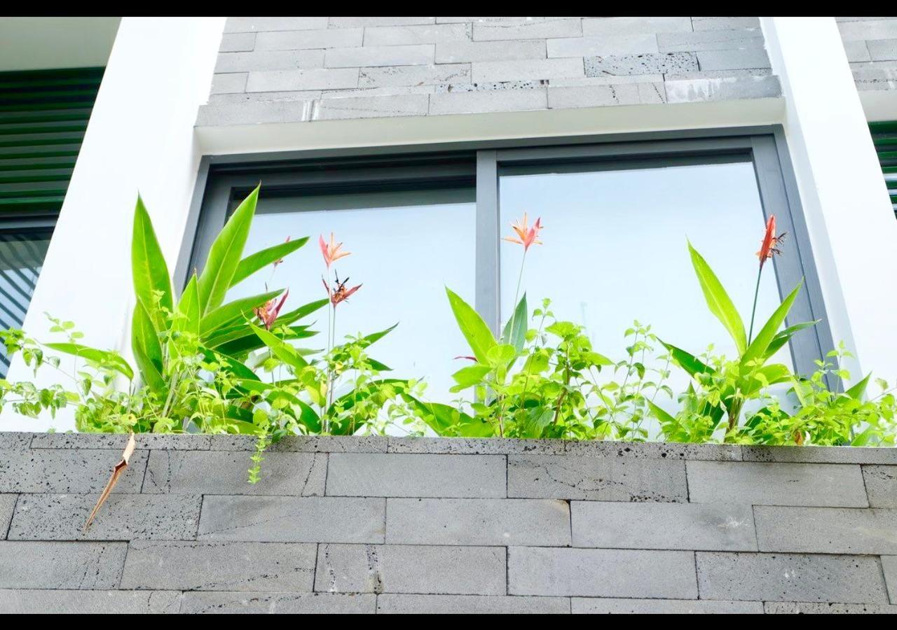 Uri House, 1- 2 Bedroom Tourism Apt, 5' Walk Dragon Bridge دا نانغ المظهر الخارجي الصورة